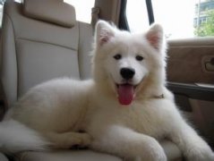 ͨ������ͷ������Ը� ����ͷ��¶�Ը�