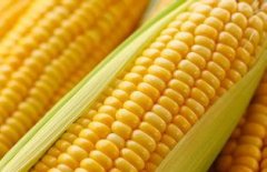 �����׻ᷢ���� ������ô�Բ��ܽ�������