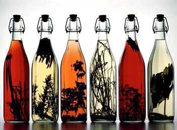 ҩ��ʲôʱ������ ��ҩ��Ӧ����3������