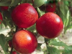 �и����Գ������� �ʺ��и������ҳԷ�