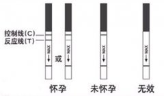 ������ֽʲôʱ���ñȽϺ�