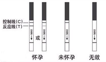 排卵试纸什么时候用