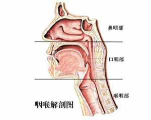 ���׵�֢״ ��������Ԥ������