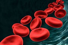 ���ͨ����ʳ����Ѫ������ ����Ѫ�����᷽��