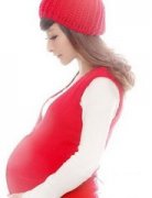 ����Ҳ��Ҫ�������������֪ʶ