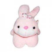 �ٽ����ѵ�ʳ������Щ Ů�Գ�ʲô�ٽ�����