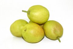 ��¶����������ó�Щʲô ˮ��������