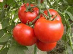 ��ǰ׼����ʲô ��ǰ���Ŷ�ʳ��ܹؼ�