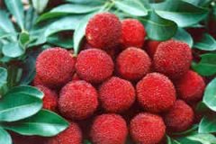 �����ںȾƺ��� �����ܺ���÷����