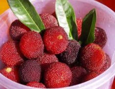 �и��ܳ���÷�� ���ڳ���÷����