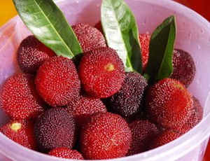 �и��ܳ���÷��