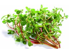 ����������Ū�źó� �����ȸ��ָ����ĳԷ�