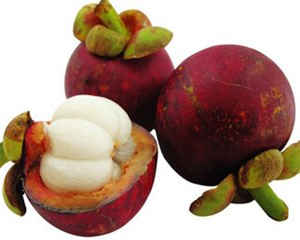 �и��ܳ�ɽ����