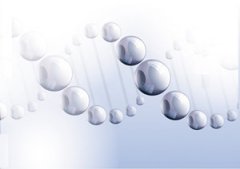 �򵰰�ƫ�ߵ�ԭ�� �����򵰰�ƫ�ߵ�ԭ��