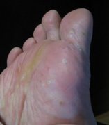 ������ʲôԭ�� ���������Ʒ���