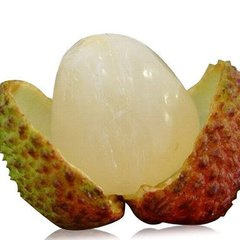 �и��ܳ���֦��