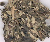 �ð�Ҷ�ݽŵĺô���ʲô ��Ҷ�ݽŵķ���