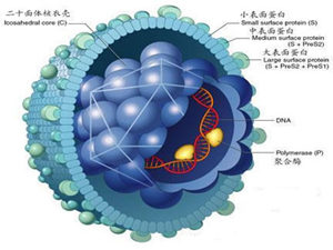 ʪ������ô�����