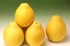 �и��������ϻ��� �����ܳ�������