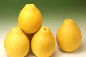 �и��������ϻ���