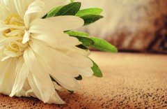 ������ô�� ��ʲô�õ����Ʒ���