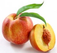 �и��ܳ������� �и����Գ�������