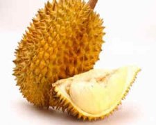 �и��ܳ������� �и����Գ�������