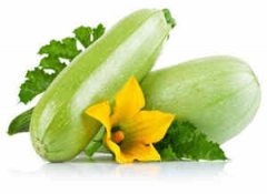 ��������ʳ���� ���ڵ���ʳԭ����ʲô