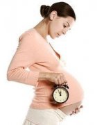 ̥����ë��鰲ȫ�� ̥����ëȡ����鰲ȫ��