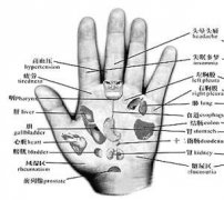 ���ƿ��� �ٲ����������������