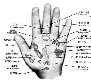 ���ƿ���