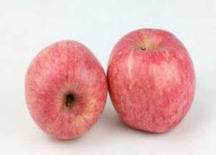 ������Ҫ��ʲôˮ�� ����ѡ��ˮ�����Ŷ�����