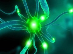 ��͢�����赸֢��֢״��������