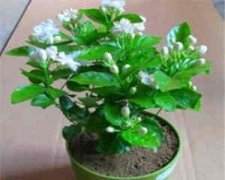 �����и���ô������ �и����������ѷ���