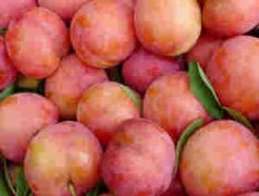 �и��ܳ������� �����и����Գ�������