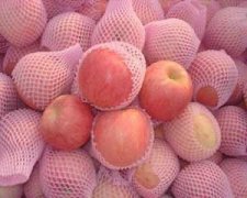 ���³�ʲôˮ�� ��ʲôʳ����Ի�������