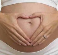 ��������Ӱ��̥���� ������̥��������Ӱ����