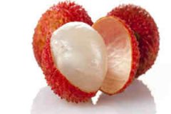 �и��ܲ��ܳ���֦ �и�����֦���ϻ���