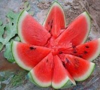 �и������Ϻ��� �и����Գ�������