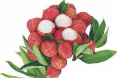 ���Բ��ܳ�ʲôˮ�� С��������ʳ����