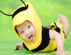 ����С����ȫ �����С��