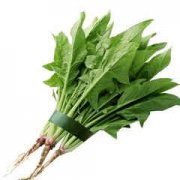 Ӥ��ȱ����ô�� Ӥ��ȱ����ô��