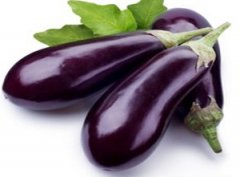 �и�ʳ���Ƽ� �и�10����ʳ��