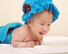 Ӥ������֪ʶ��ȫ С��Ż�¼�ͥ��������