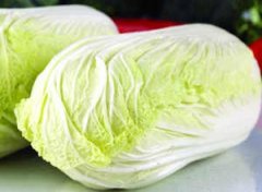 �и�ʳ���Ƽ� �и�2����ʳ��