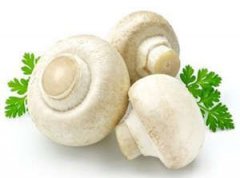 �и�ʳ�״�ȫ ������ʳ��