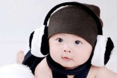 С�����׼�� С������Ӧ������Щ���