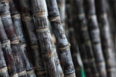 �и����ԳԸ����� �仵���᲻�ɳ�