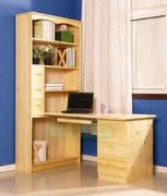 �׶�ѧ���Կ��Կ���������