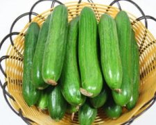 �����±������Գ�ʲôʳ�� �����±�����ʳ�Ƽ�